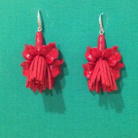 /album/galleria-foto-nappine/foto-5-jpg2/